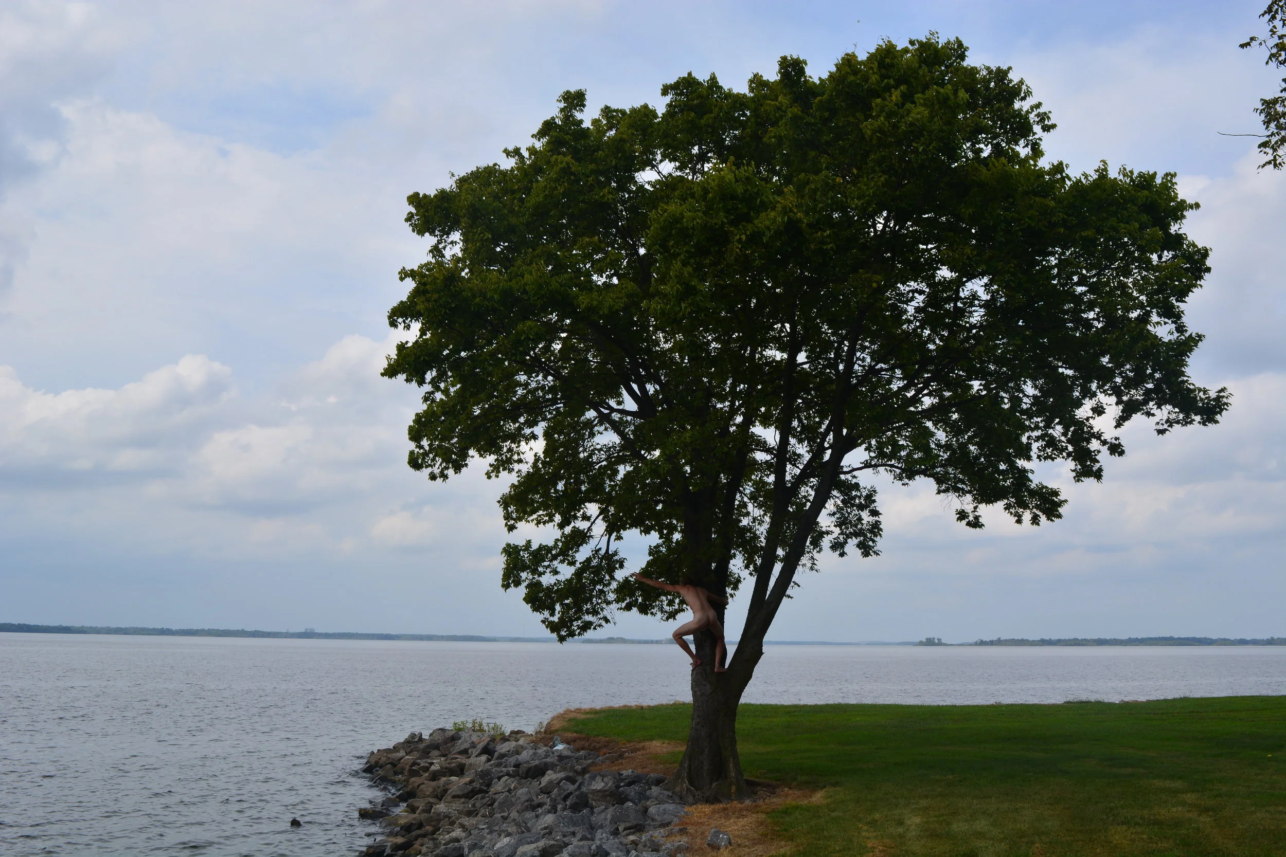 Tweedy Tree Pointing.JPG