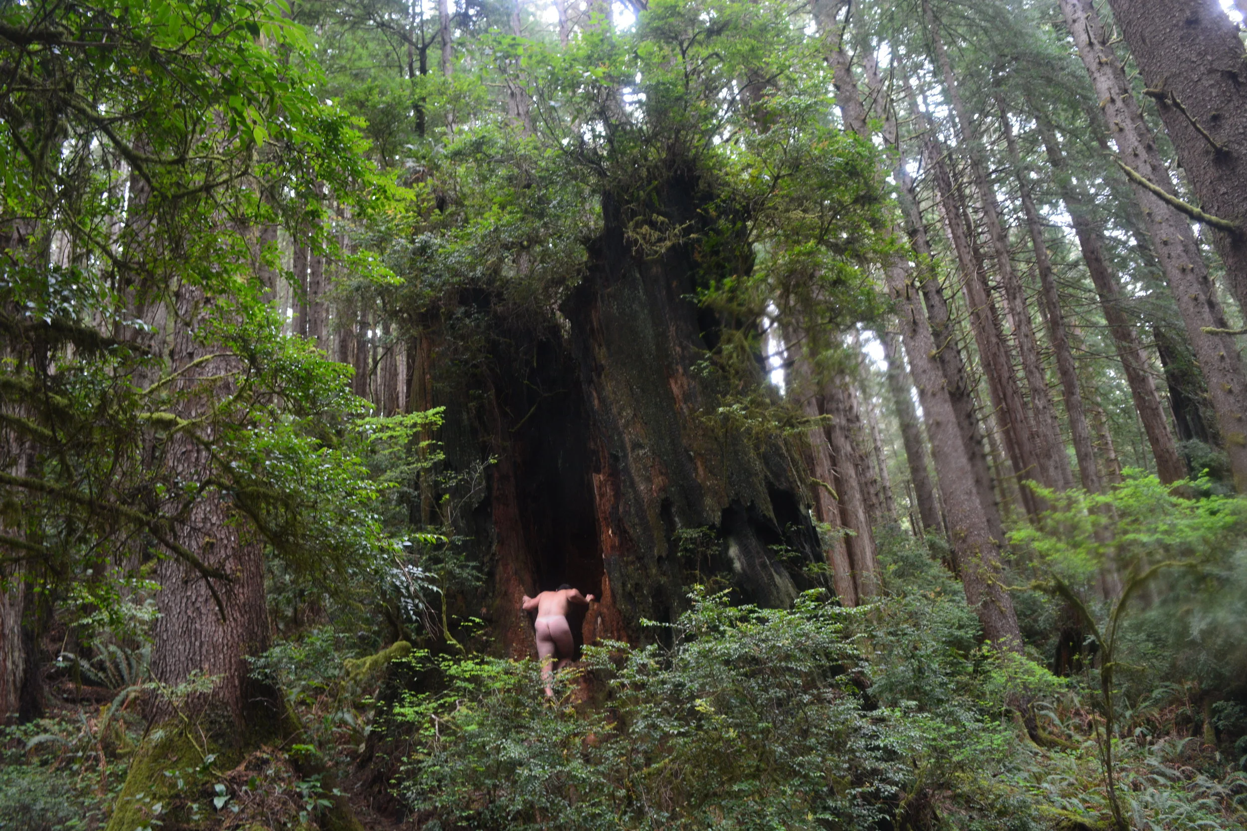 Lincoln Entering.JPG