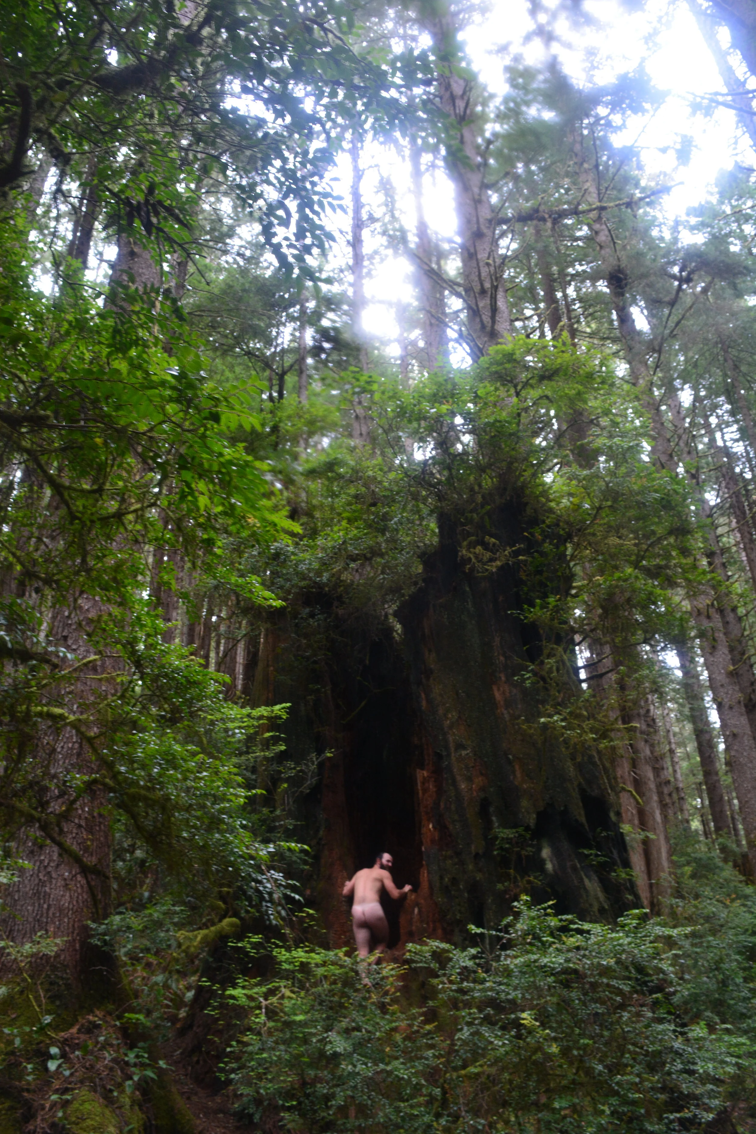 Lincoln Looking Back.JPG