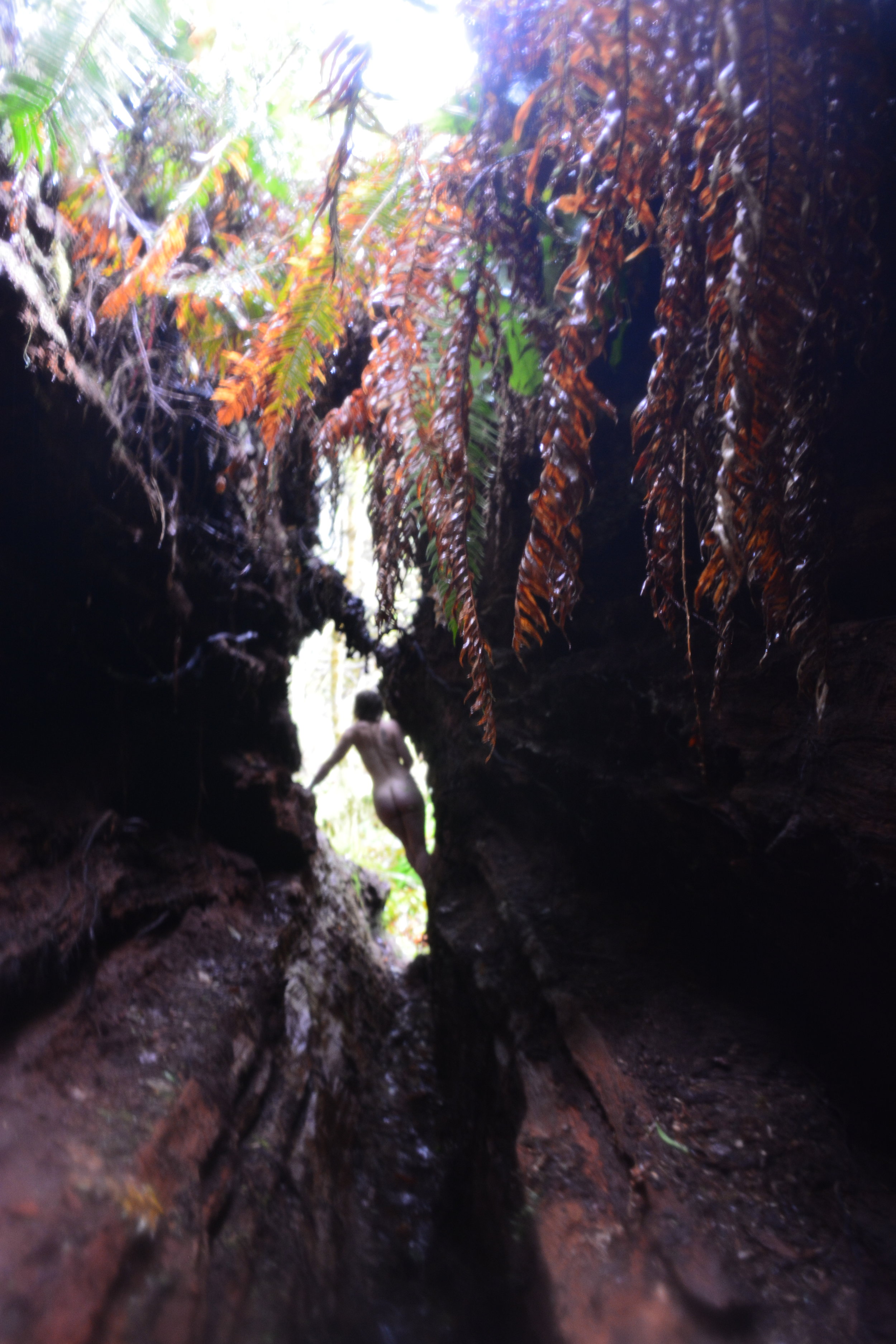 Merry One Arm Lean.JPG