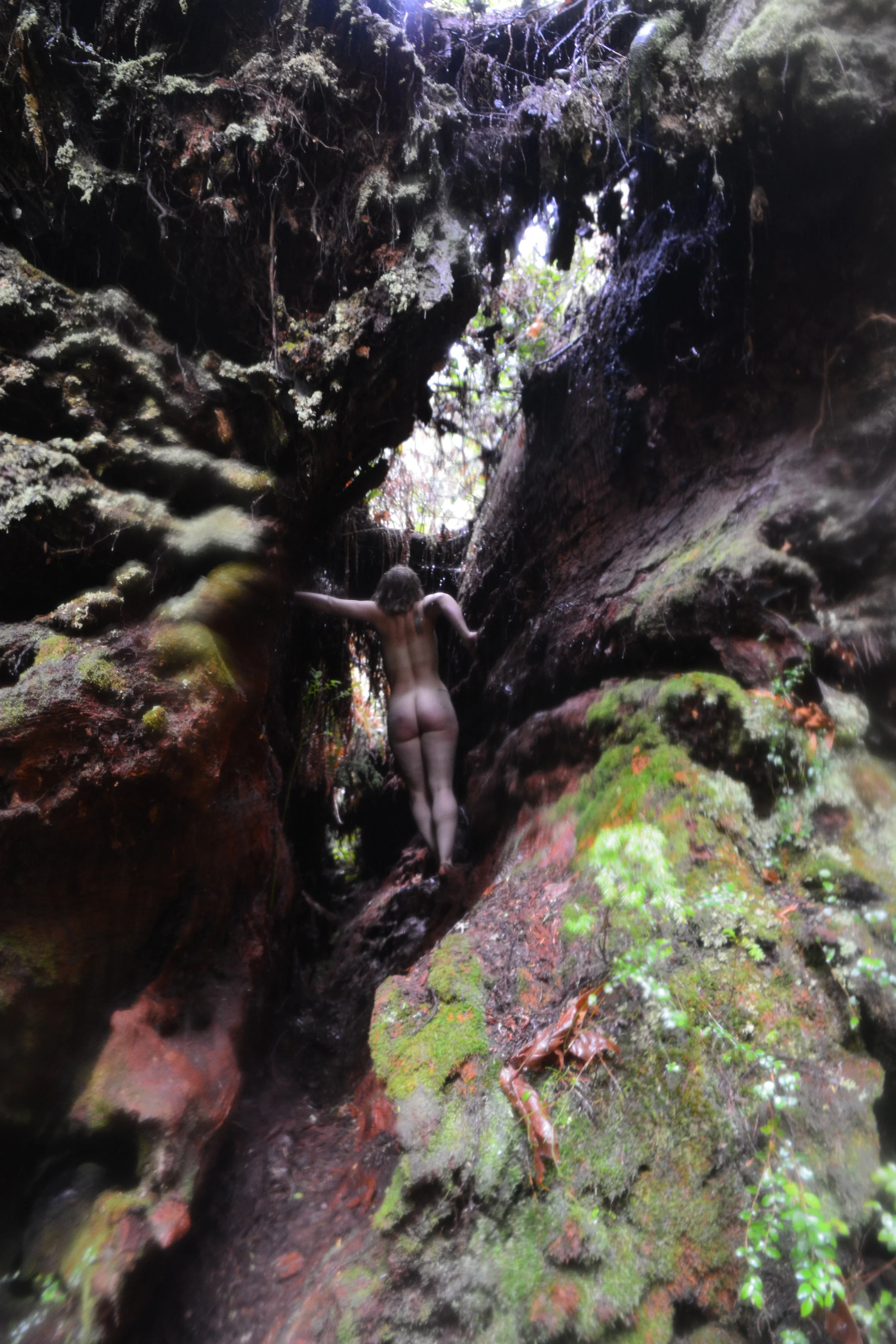 Merry Outside In.JPG