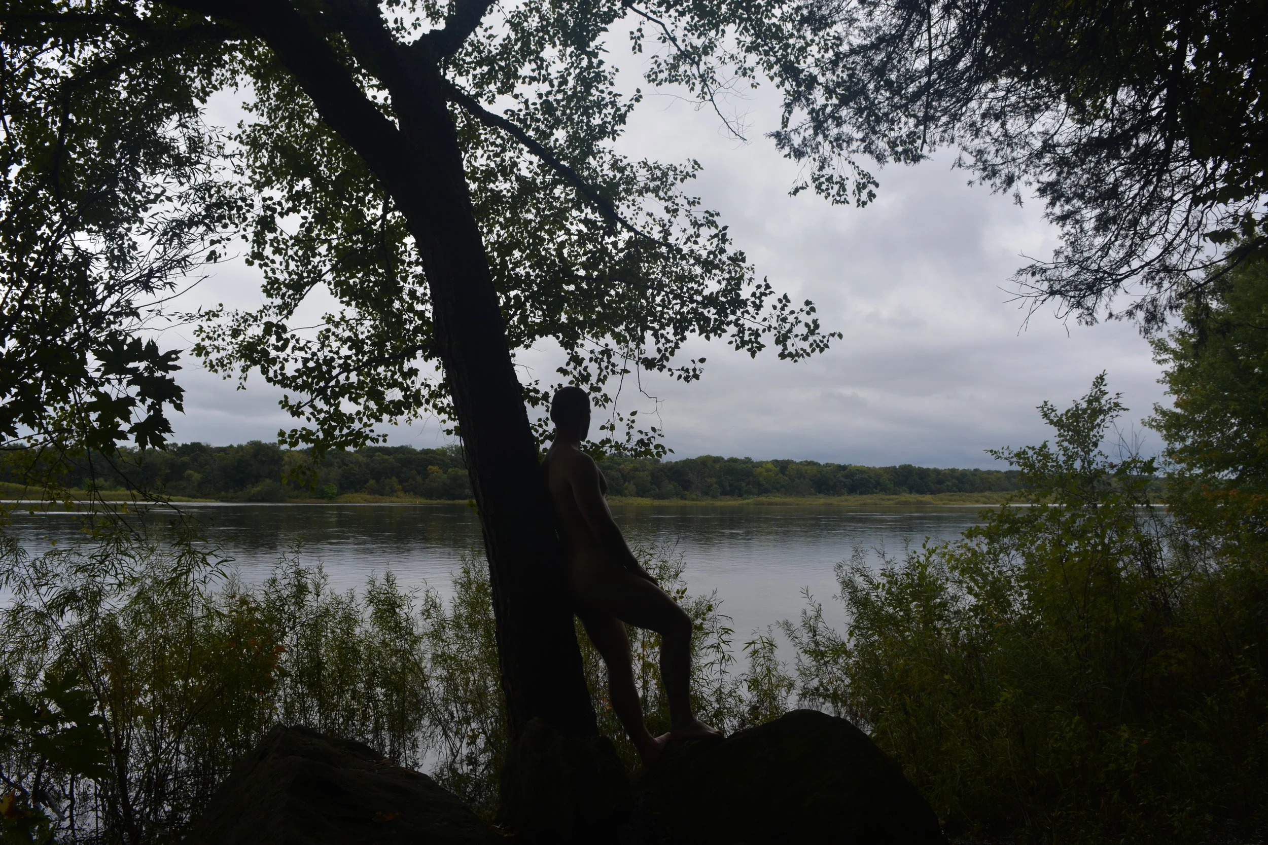 Lincoln Lean on Tree.JPG