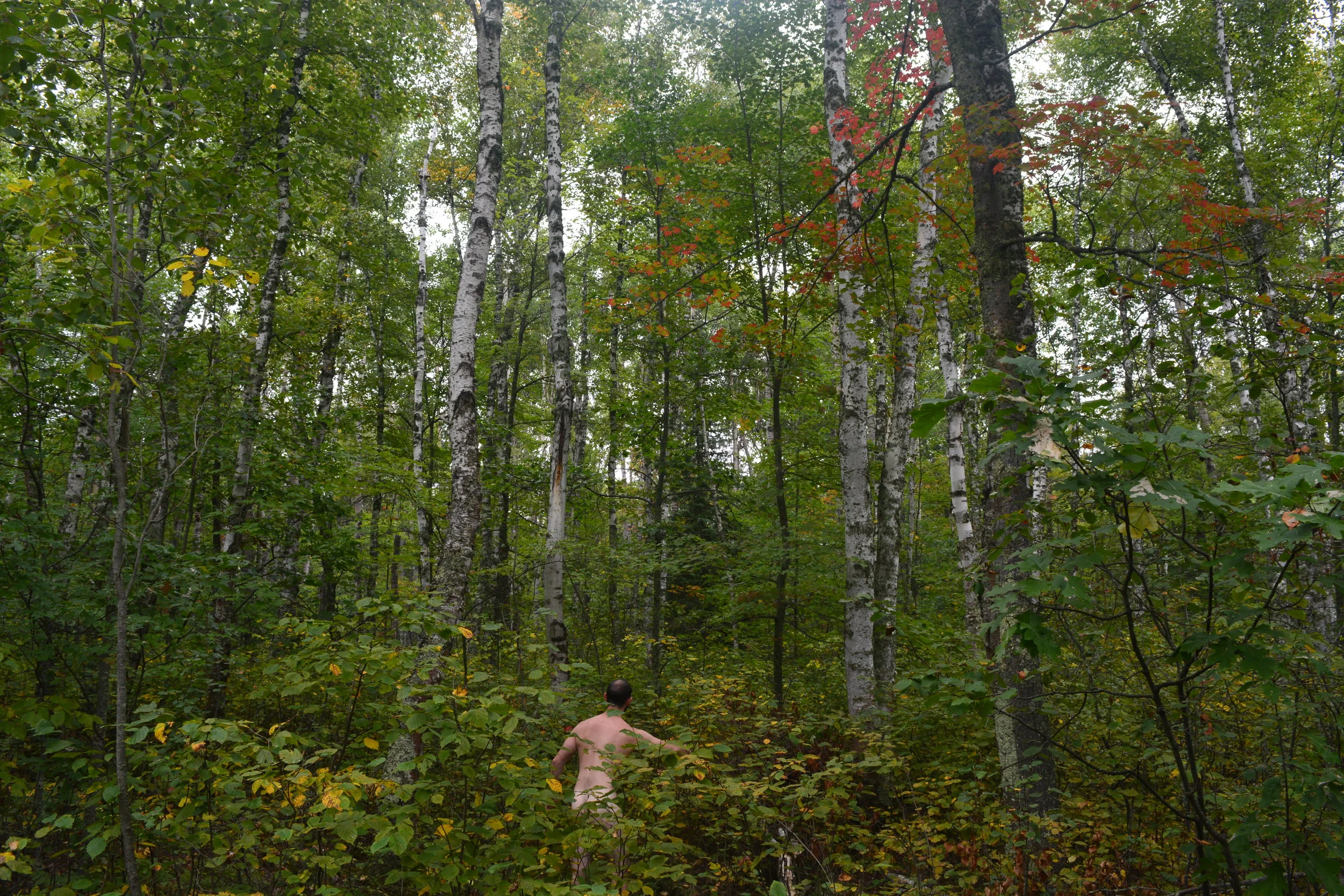 Lincoln Hidden Landscape.JPG