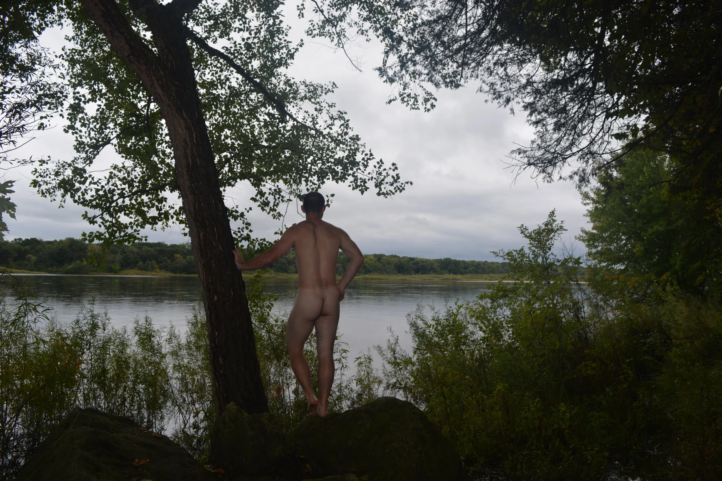 Lincoln Stand Hand on Tree.JPG