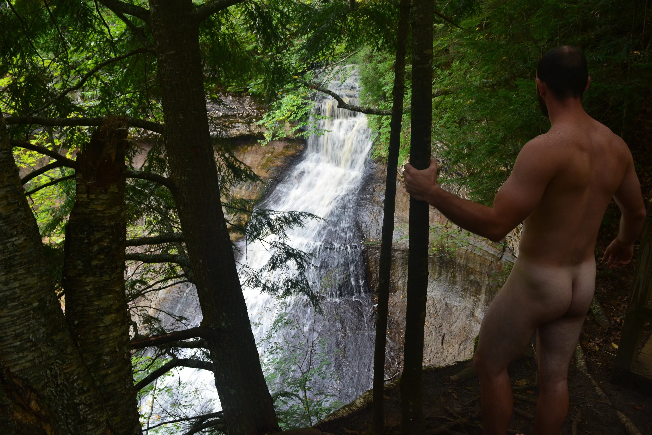 Lincoln Holding Tree.JPG