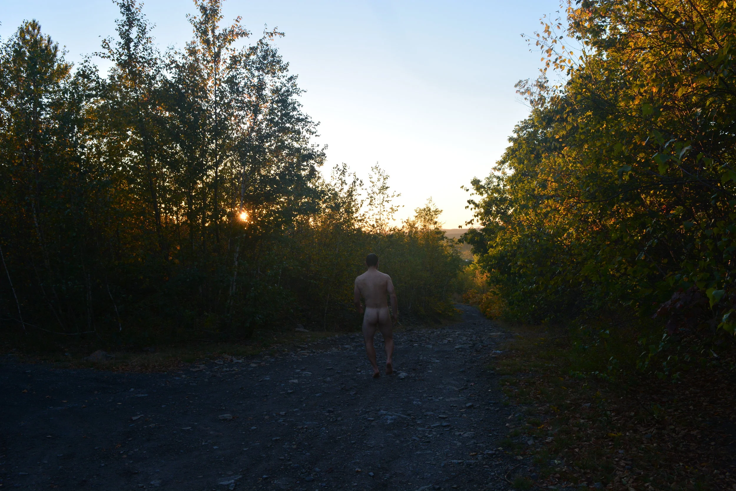 Lincoln PA Close.JPG