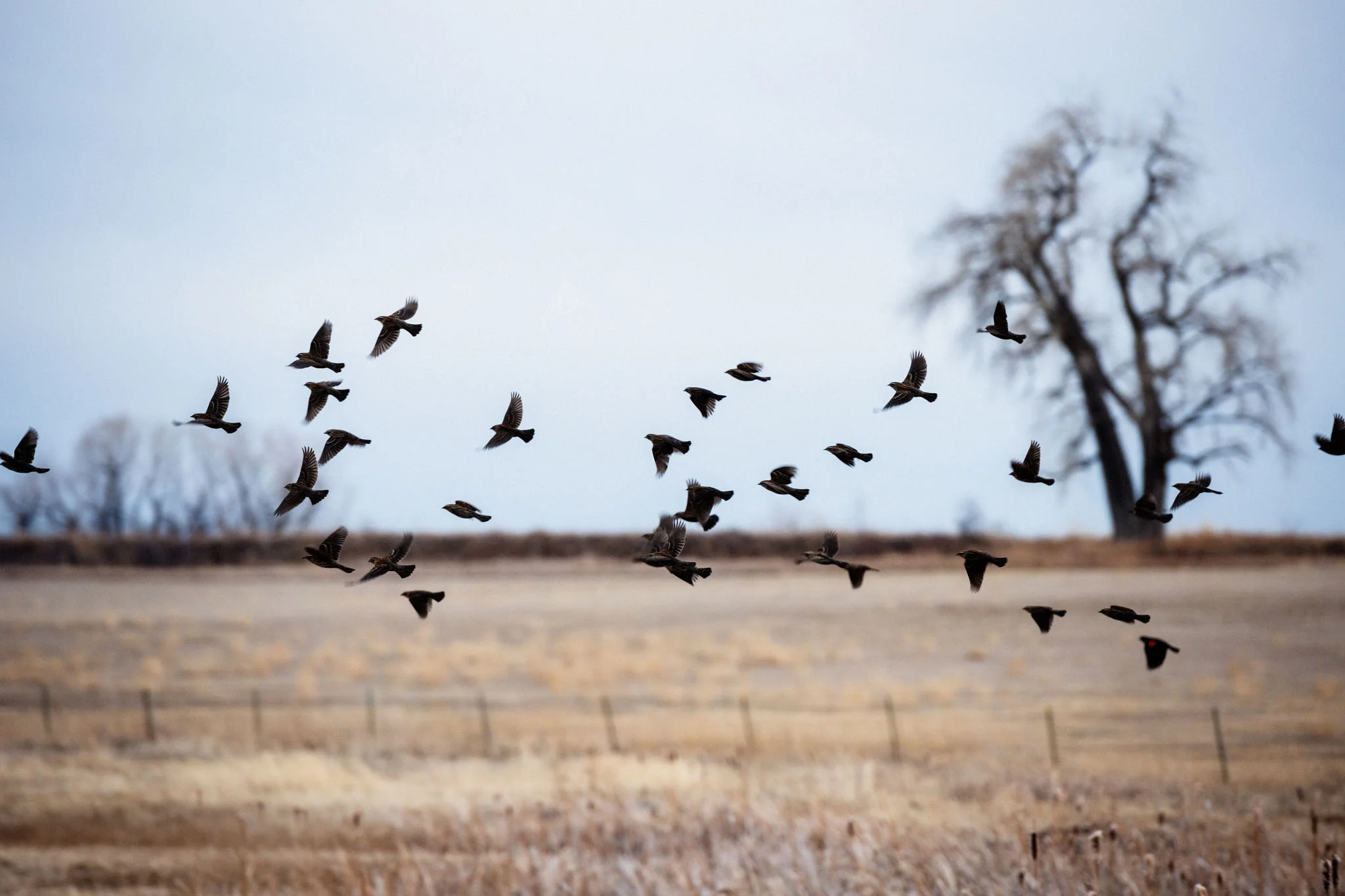 170213_rapha_boulder-2737.jpg