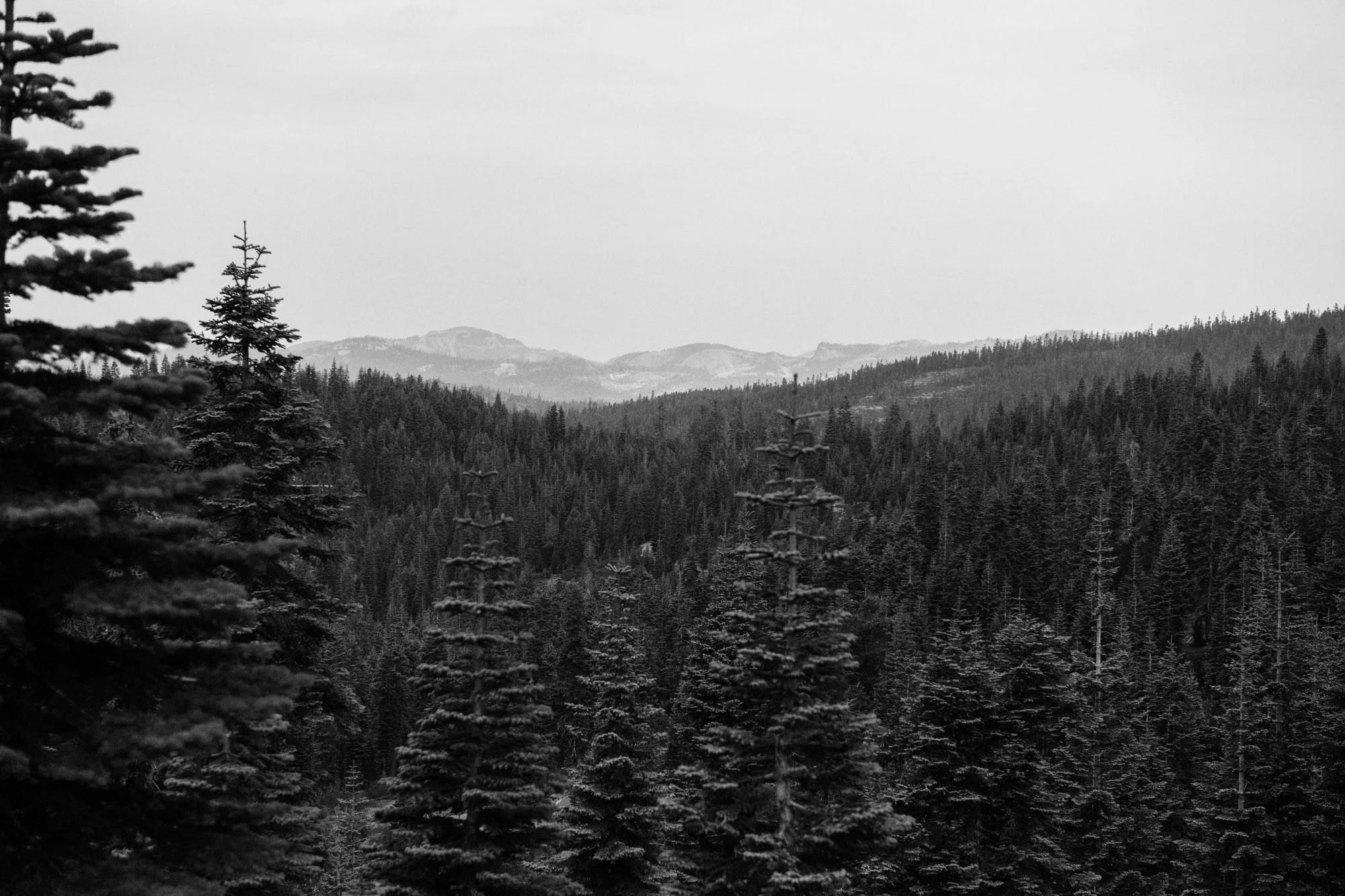 170805_USoD_downieville-0940.jpg