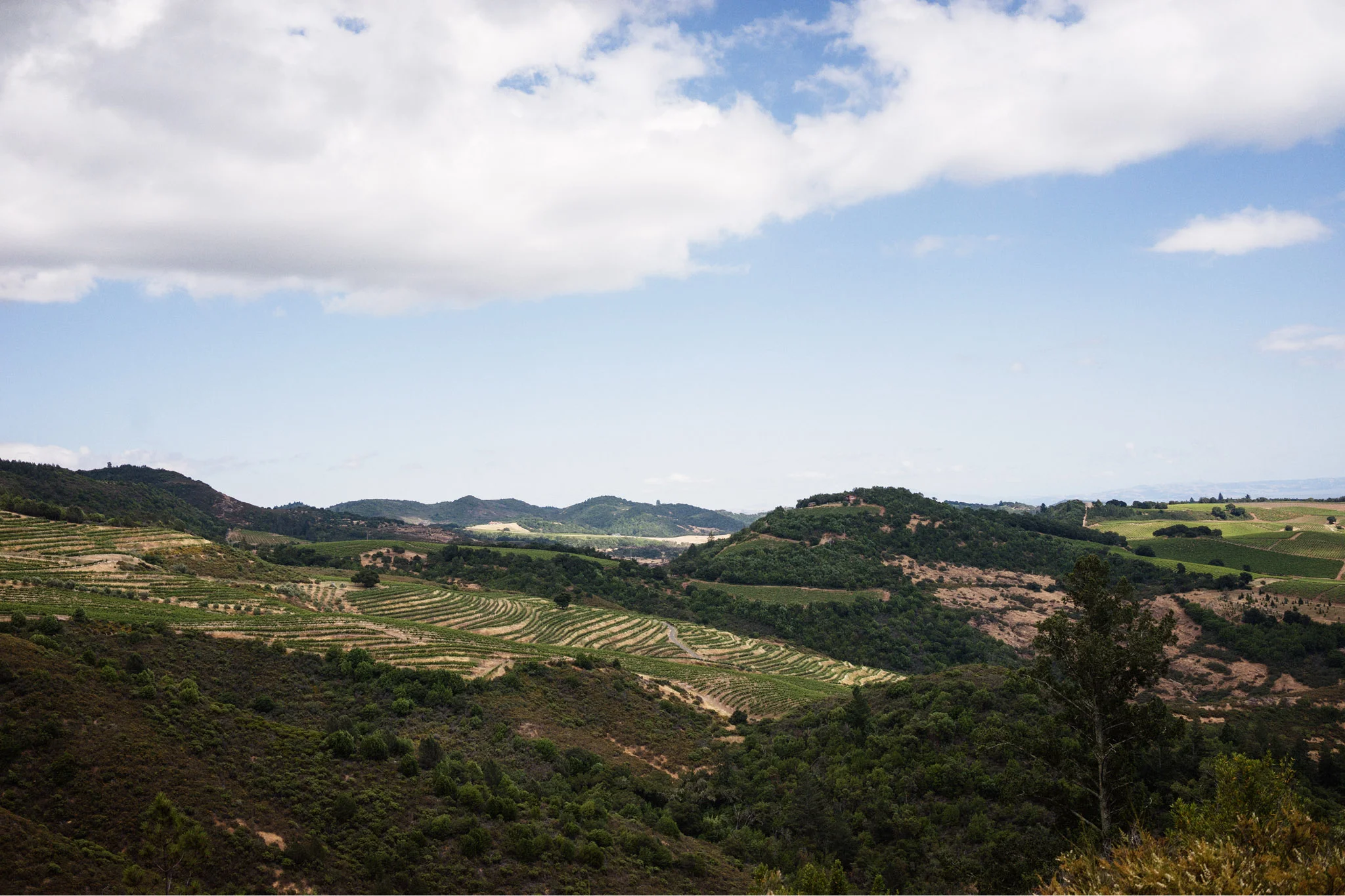170610_rapha_rides_sf-1509.jpg