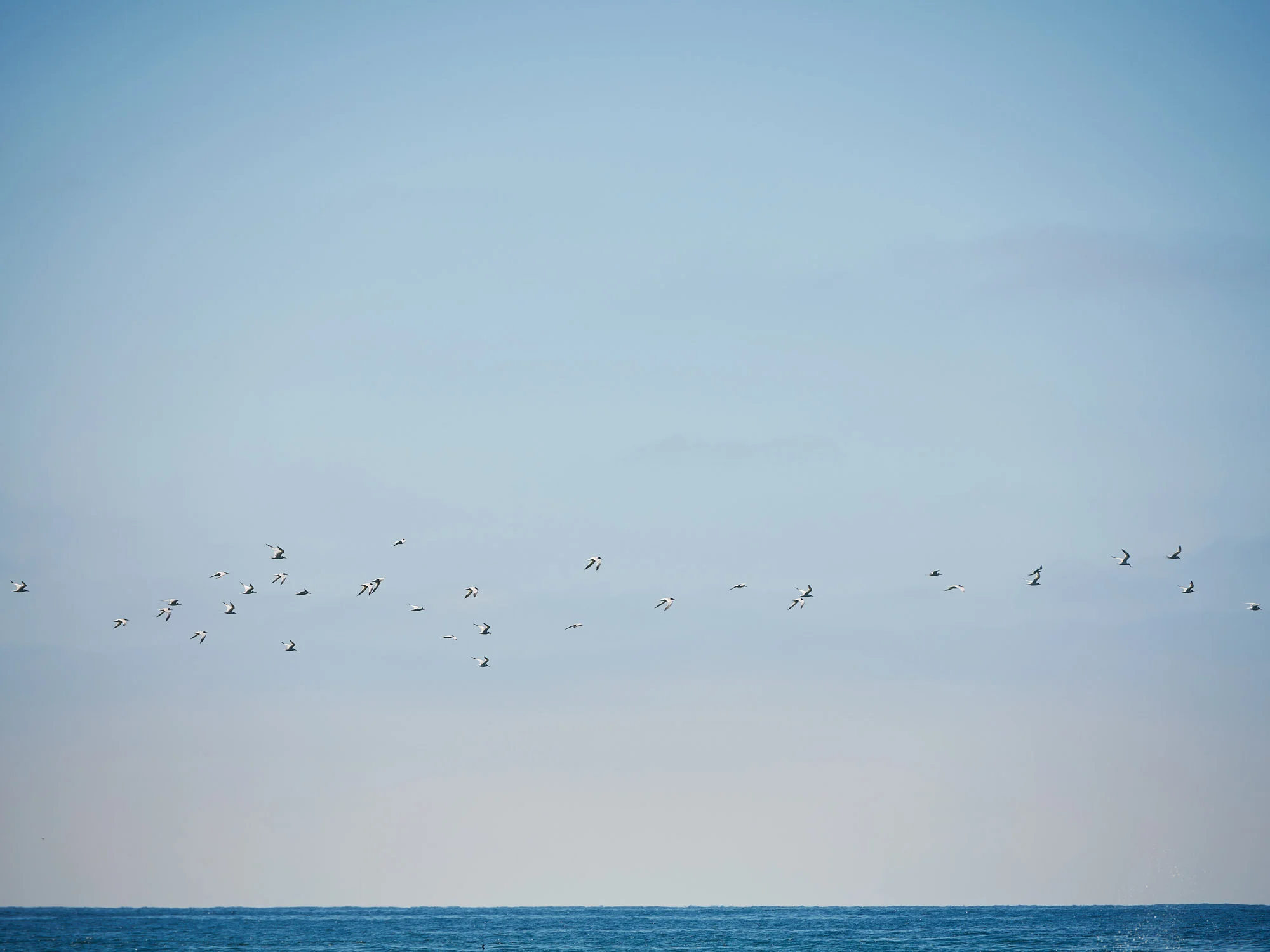 190826_canyon_ca_coast_trip-3934.jpg