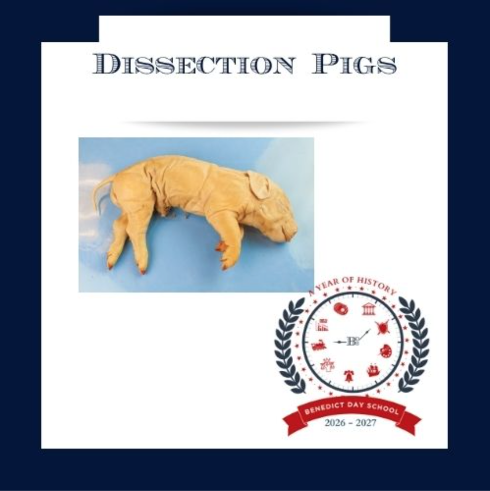 Screenshot 2026-04-10 at 9.13.36 AM.png