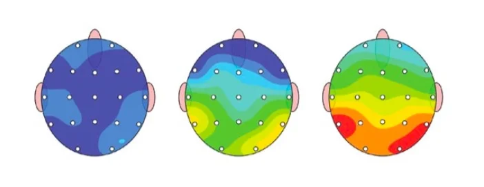 brain maps.jpg