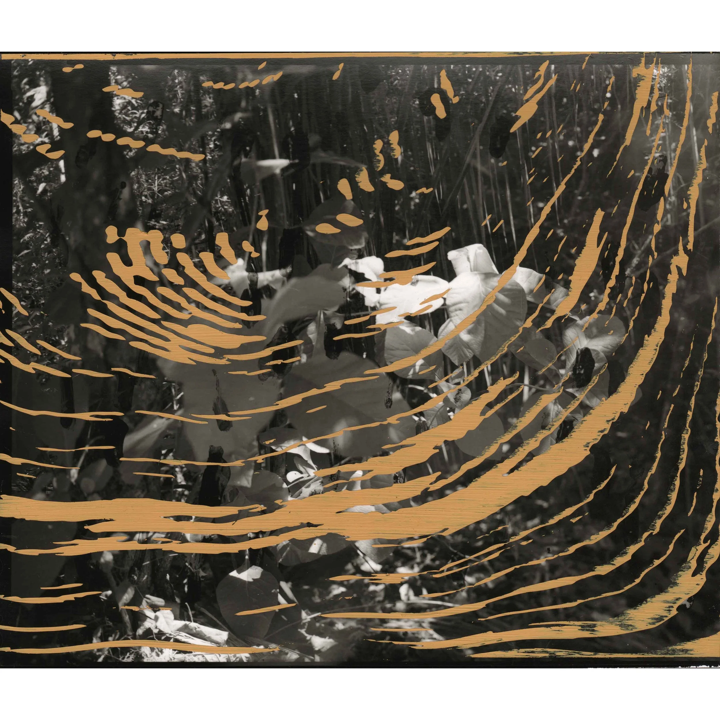 Antonia Kuo "Turbulence II"