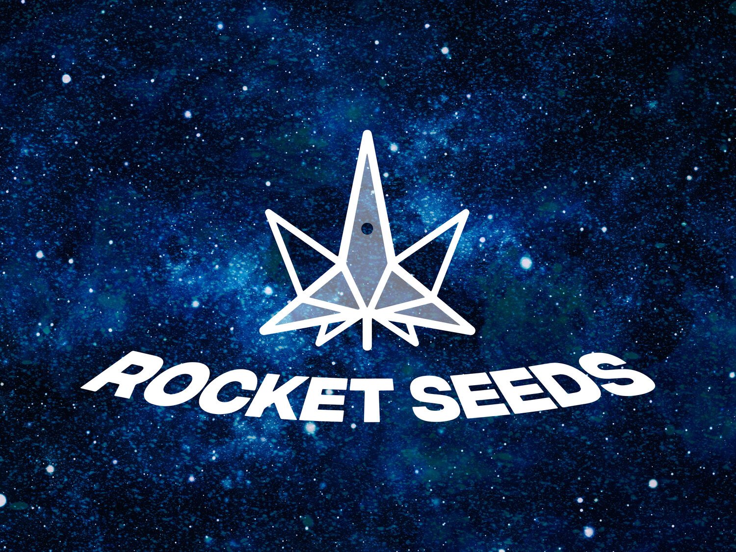 rks+logo.jpg