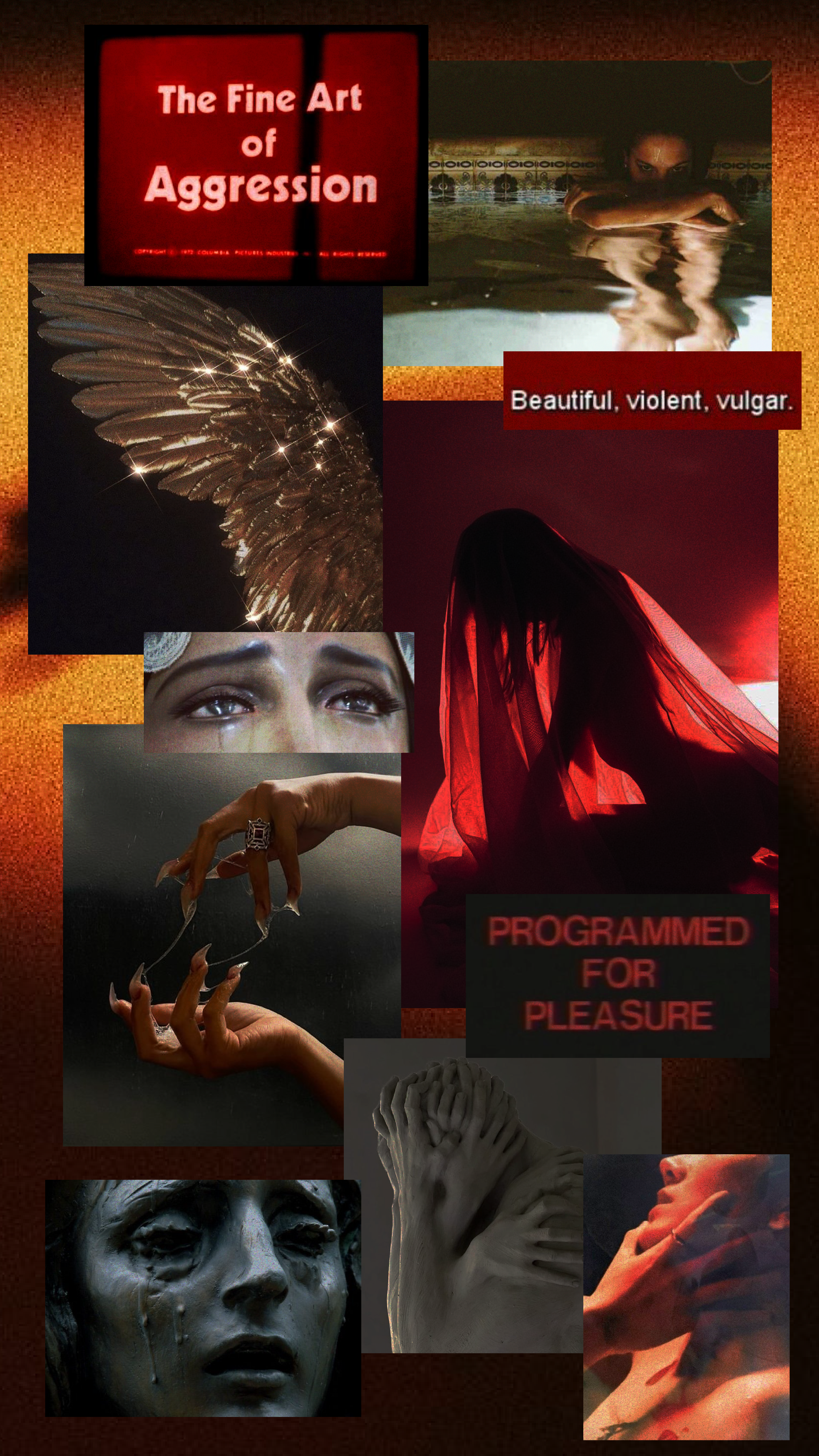 jan 31 - 2.png