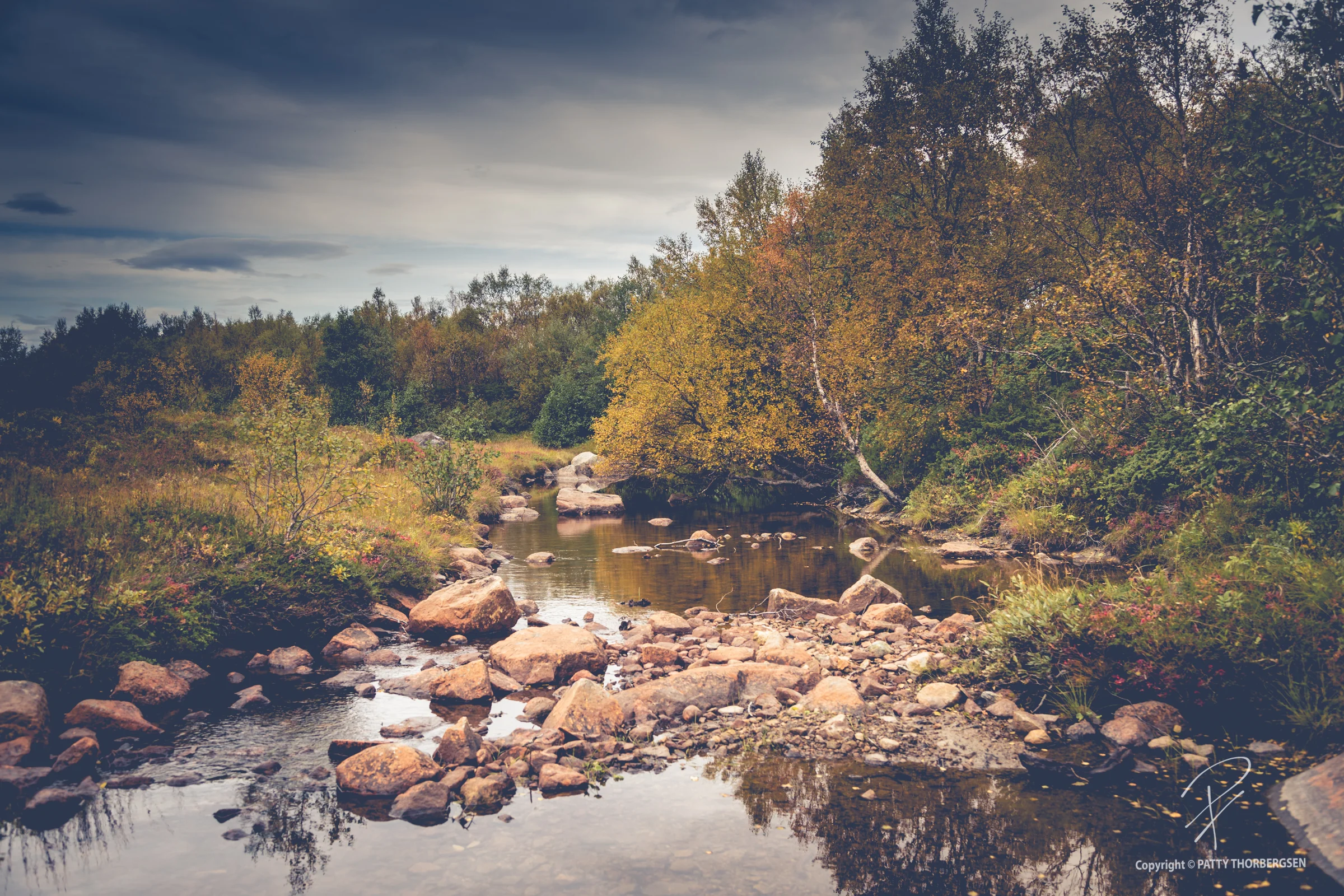 autumn © Patty Thorbergsen-7743.jpg