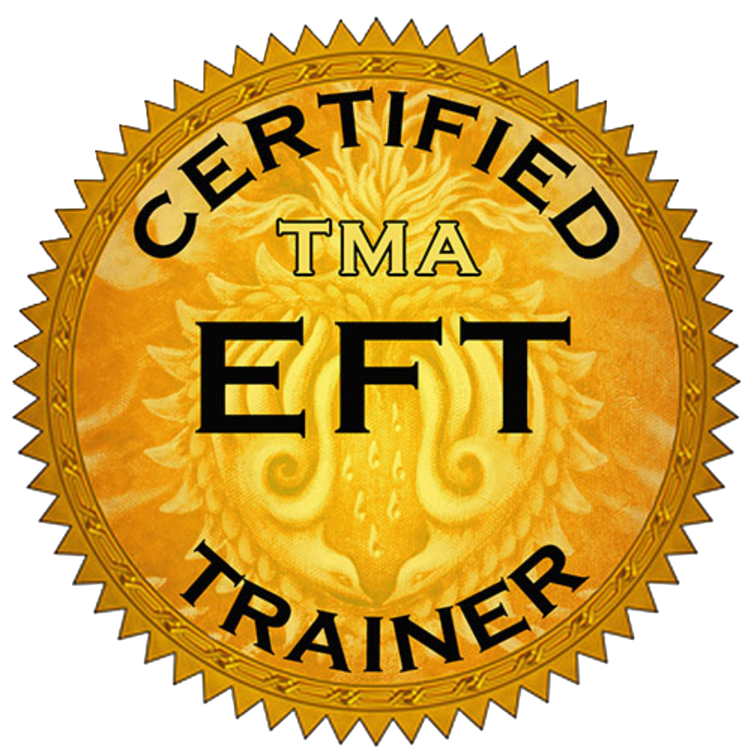 Academy Trainer Logo WEB.png