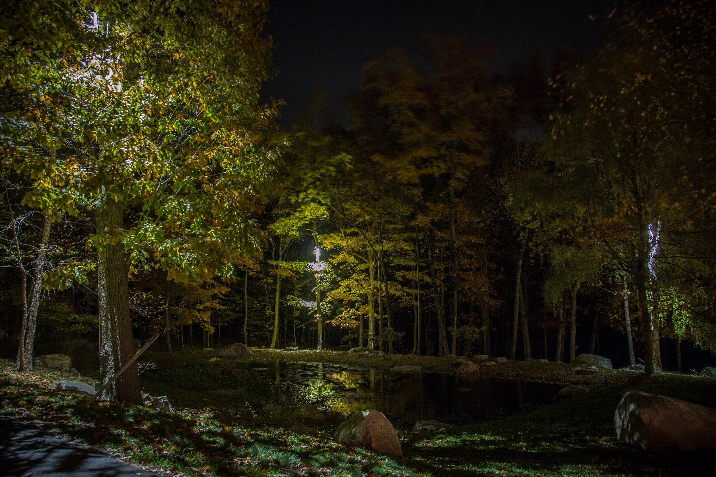 WIREPRO NIGHT SHOOT BY ANDREA KILLAM-9.jpg