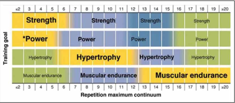 Nsca Periodization Chart