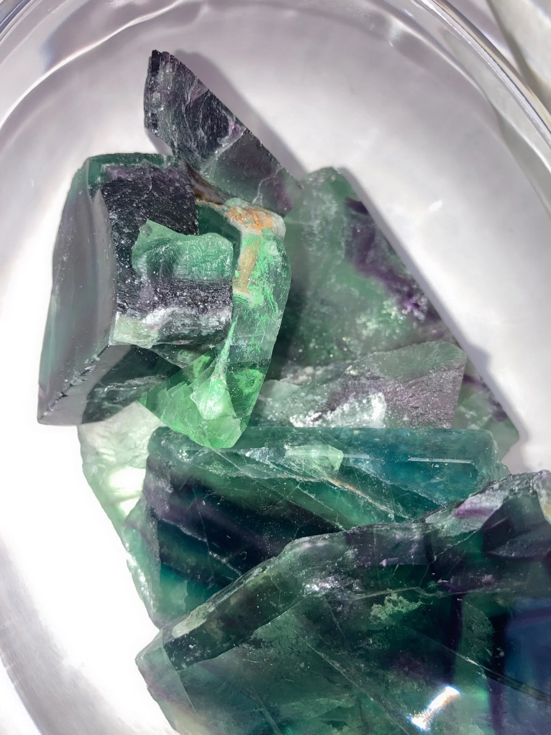 455CDE96-E37C-43B9-93E9-43D29751338E