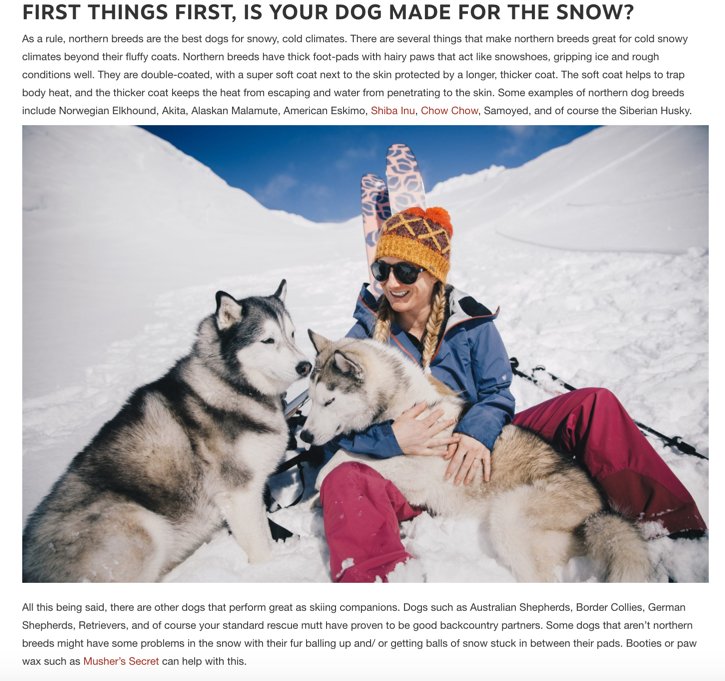 Preparing Your Dog for Alpine Skiing 
