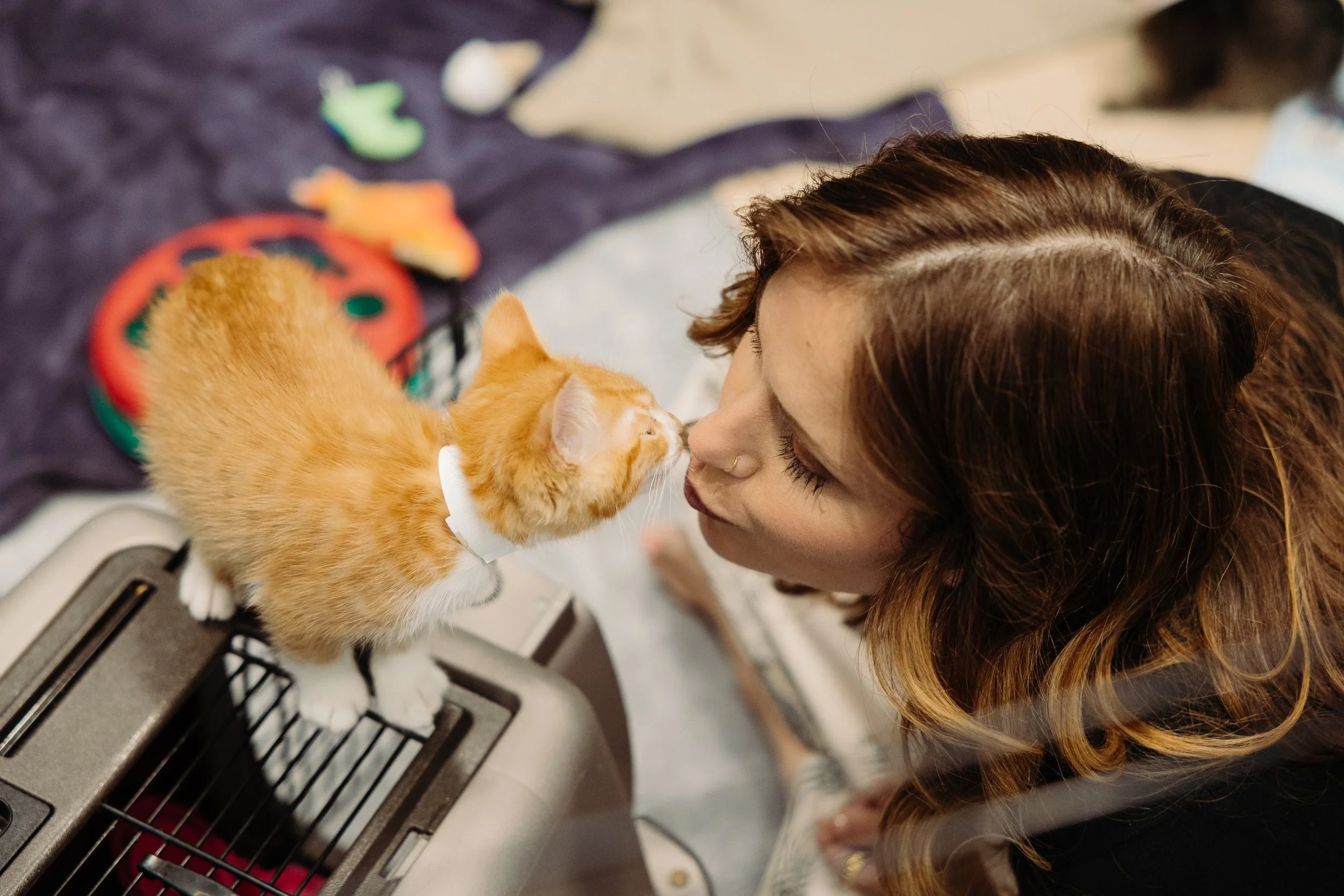 Corporate Meeting Photography - United In Care Roadshow at Banfield