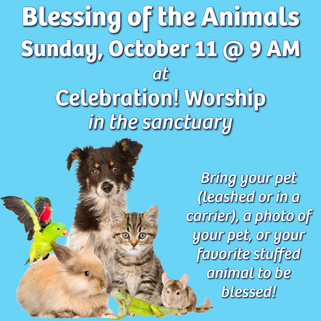 Blessing of the Animals