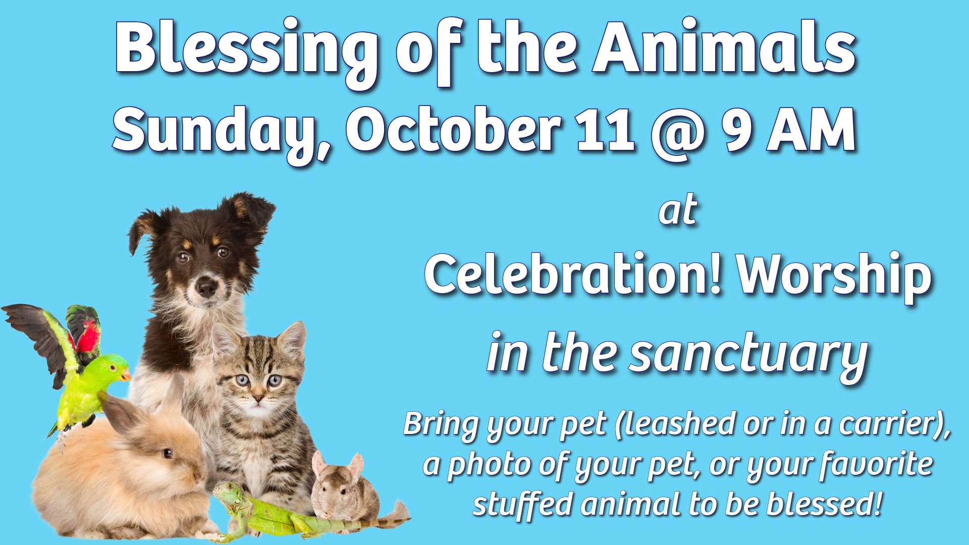Blessing of the Animals_2026_-2-1920x1080.png