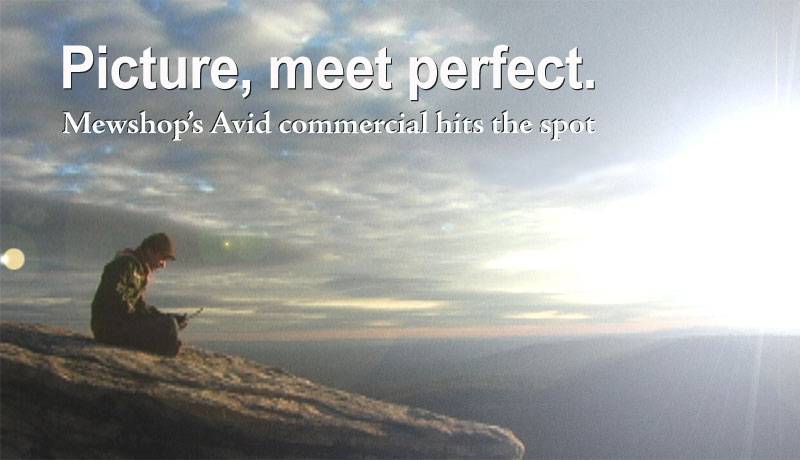 PICTUREPERFECTNEWS.png