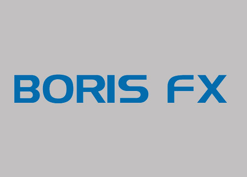 EFNY10_SPONSOR_LINKS_BORIS.png