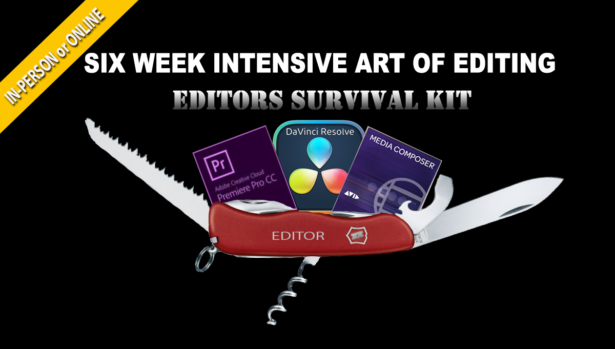 Six Week Intensive Art of Editing Workshop