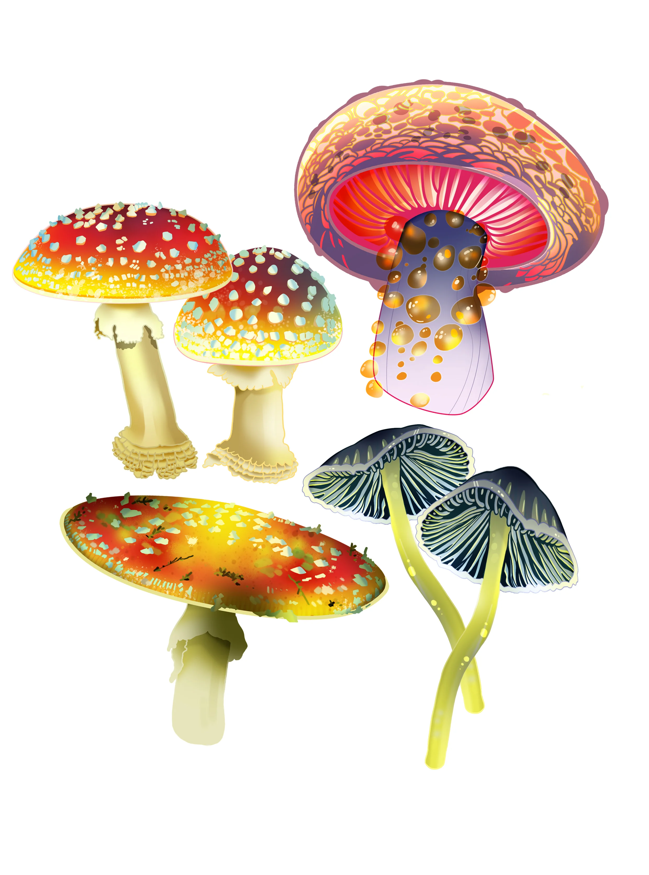 Mushrooms