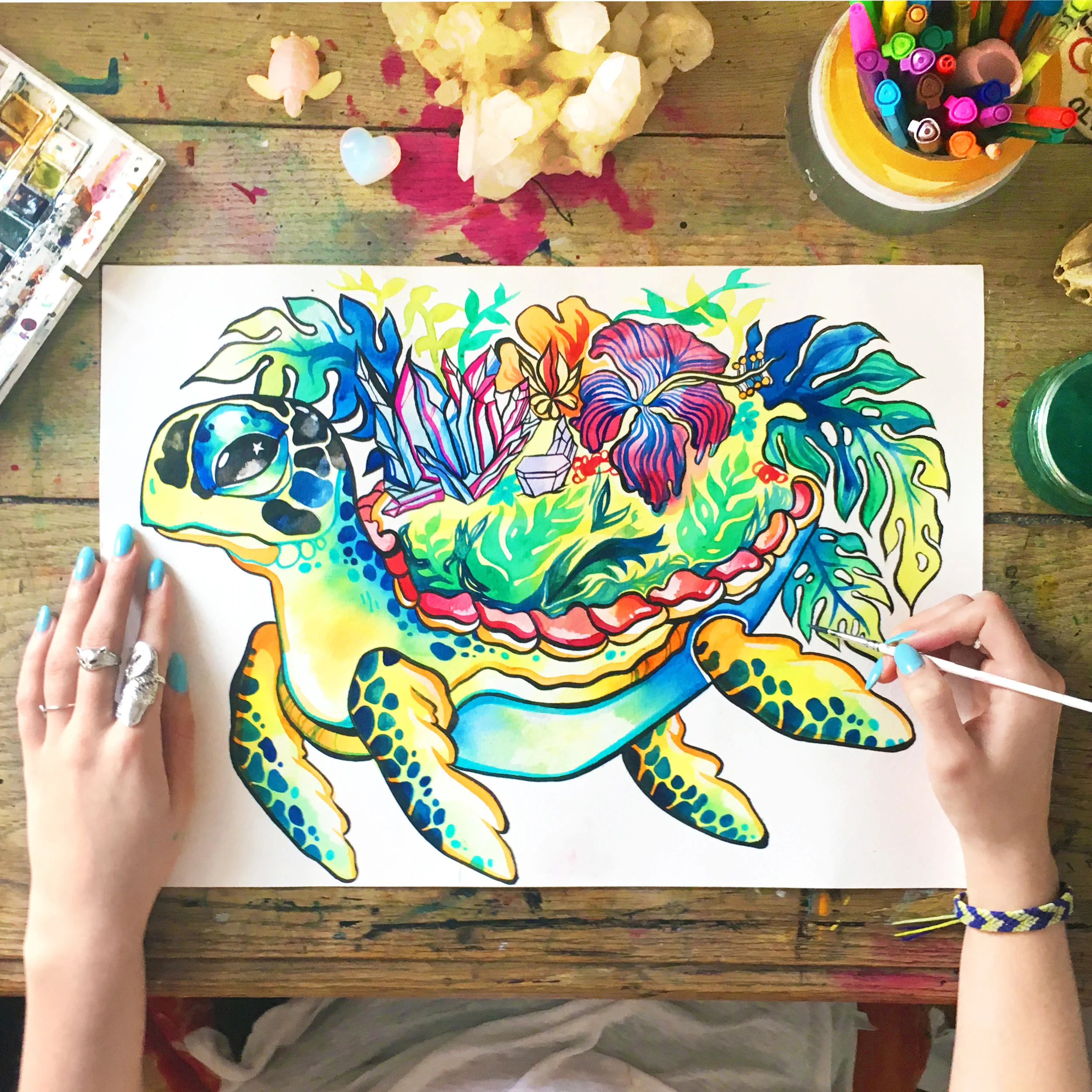 Sea Turtle: Process