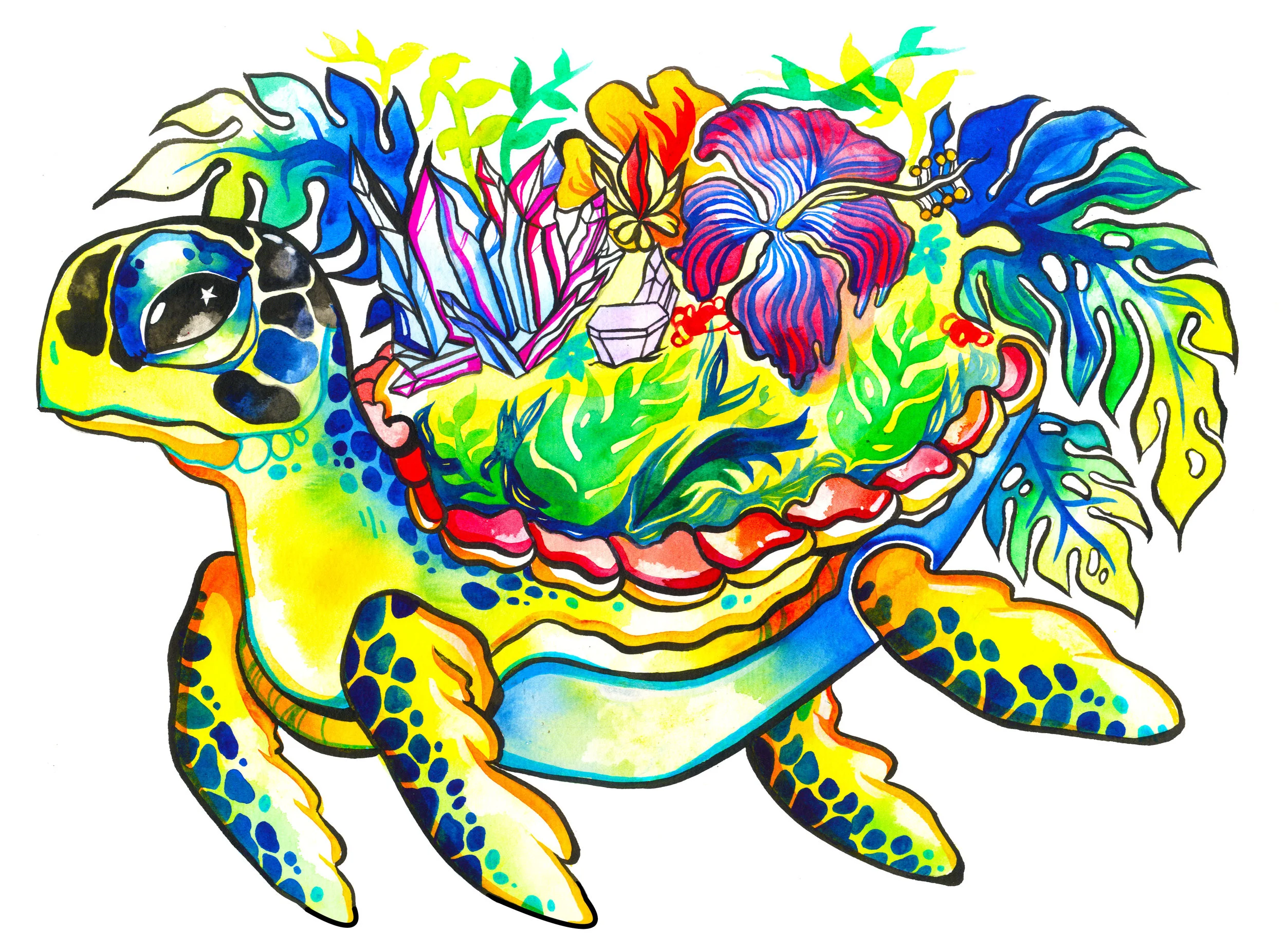 Sea Turtle