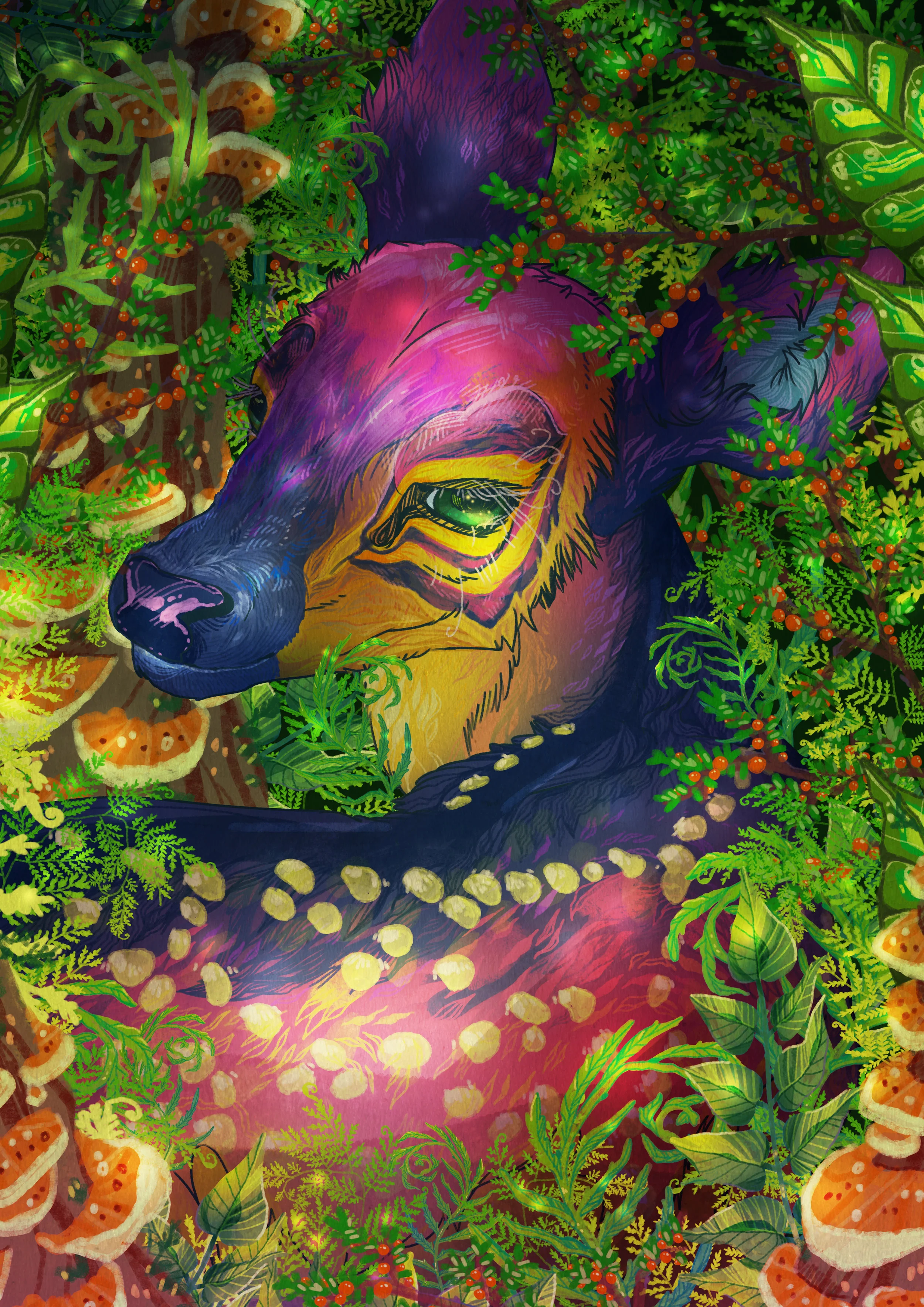 Fruize in the Forest