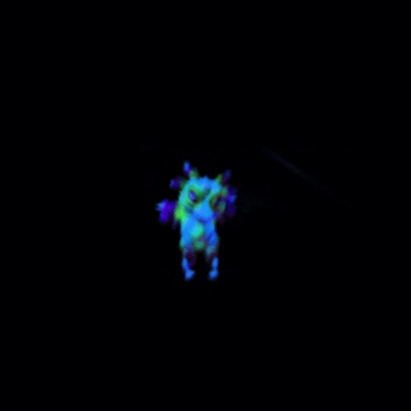 Goat Hologram