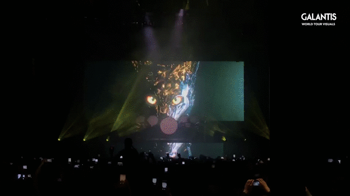 Galantis Aviary World Tour Visuals