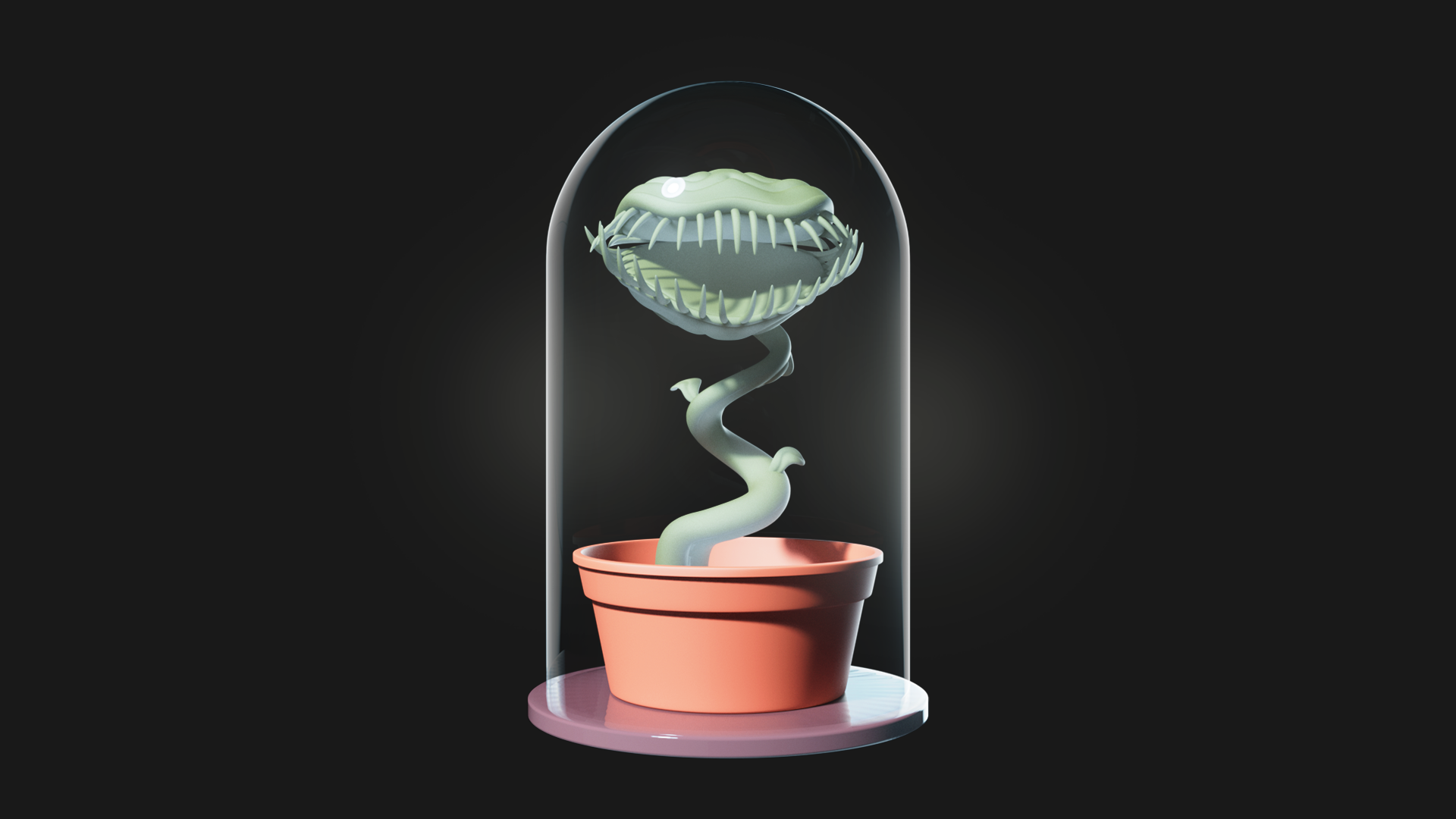 Venus Flytrap
