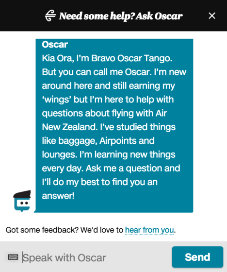 air new zealand baggage