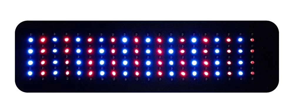 PB180TRI-LED_Horz.jpg (Copy)