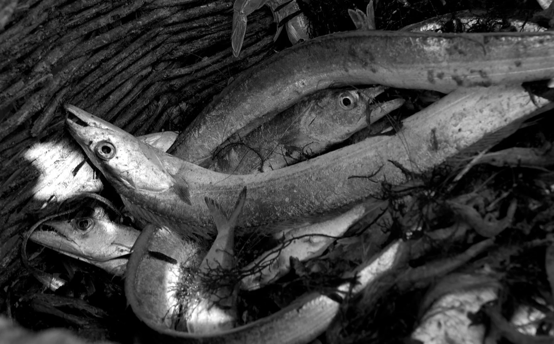 M11_001_09_01_03_096 - Version 2.jpg