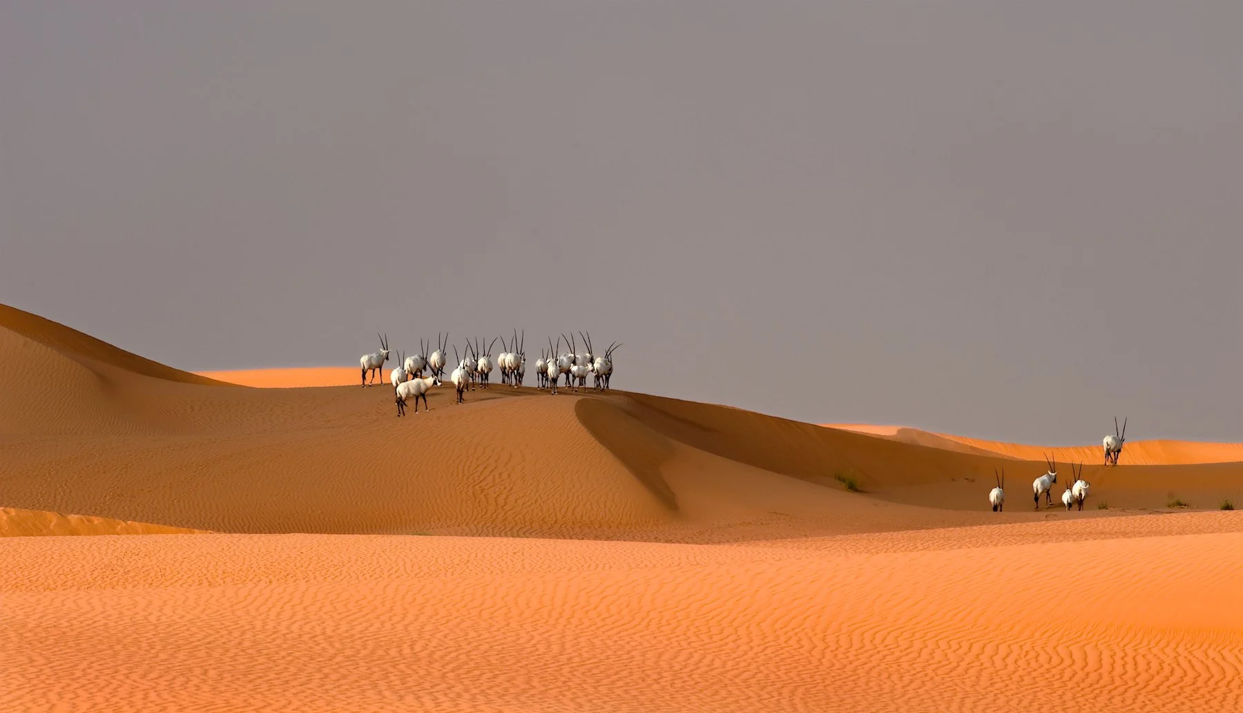 dubai_005.jpg