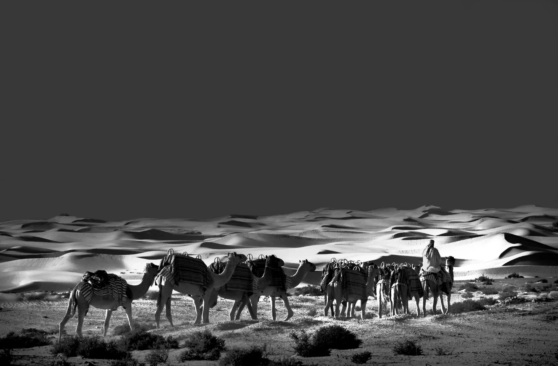dubai_029.jpg