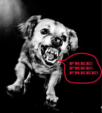 A COPYRIGHT MANIFESTO: REALITY vs. BULLSHIT