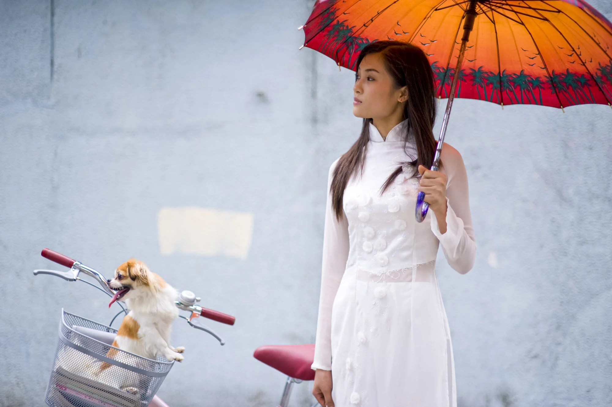 012_08_004_nikon_viet_03_12_091_v1 copy.JPG