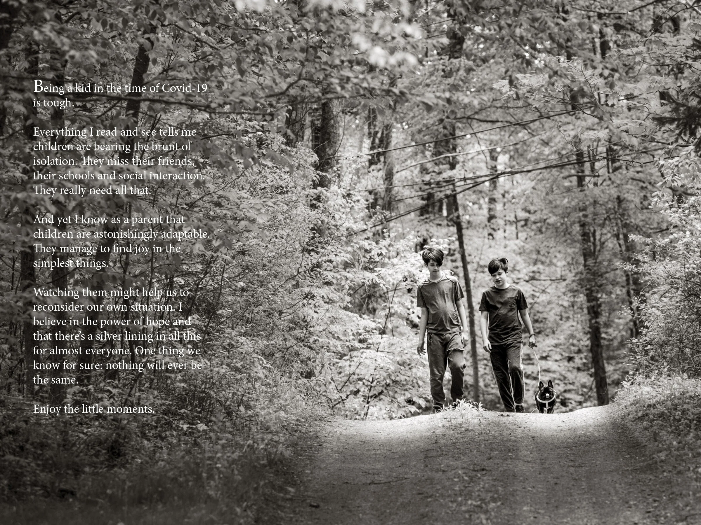 SHELTERING MP SITE version4.jpg
