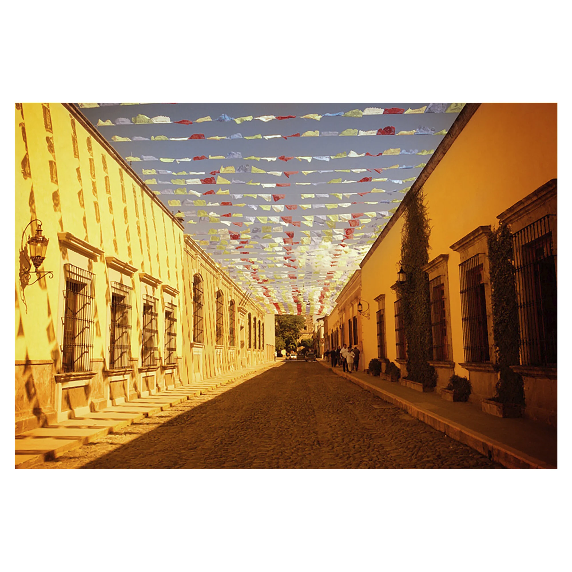Fiesta José Cuervo. Tequila, Mexico. 2003.
