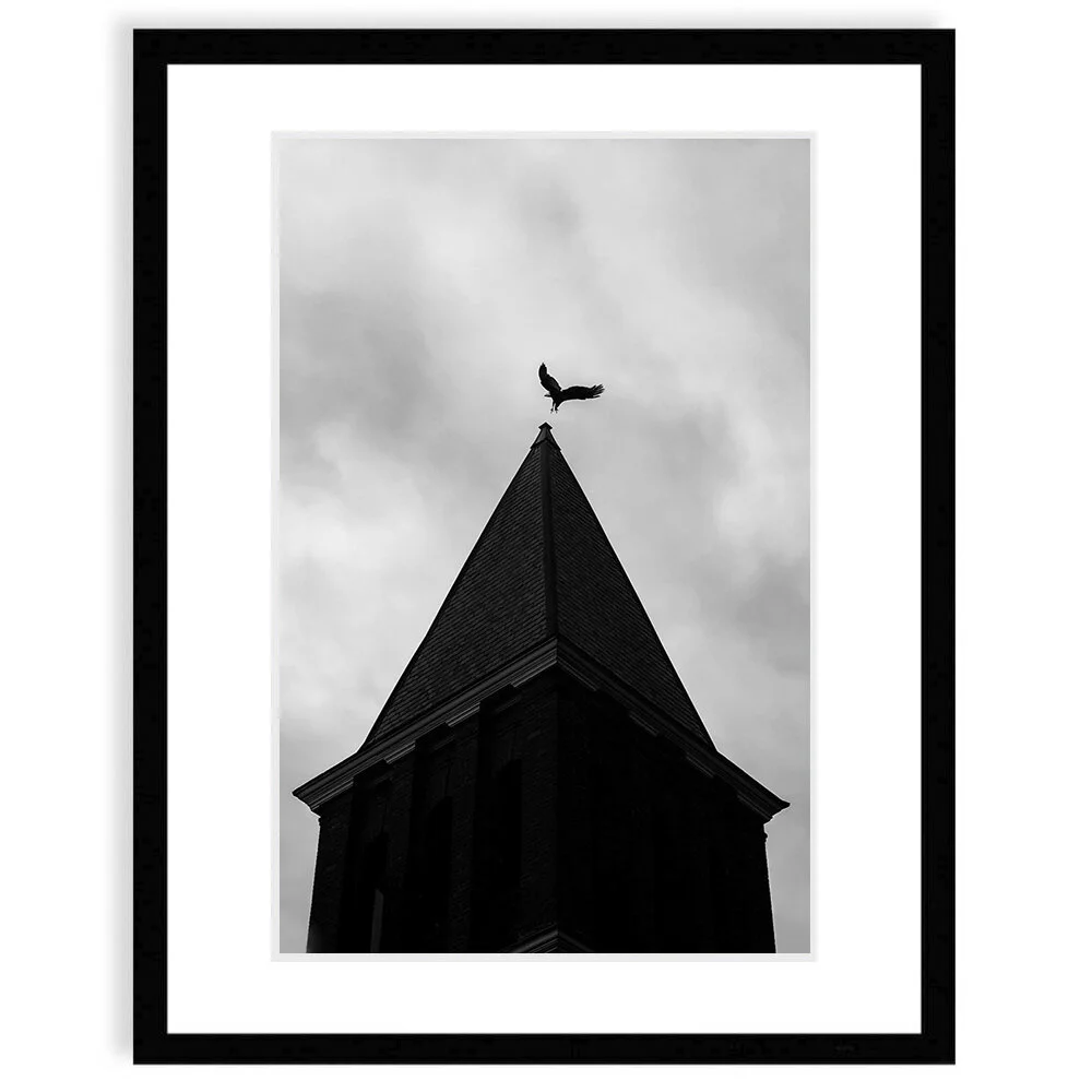 0038_Vulture Ulster Academy Belltower.jpg