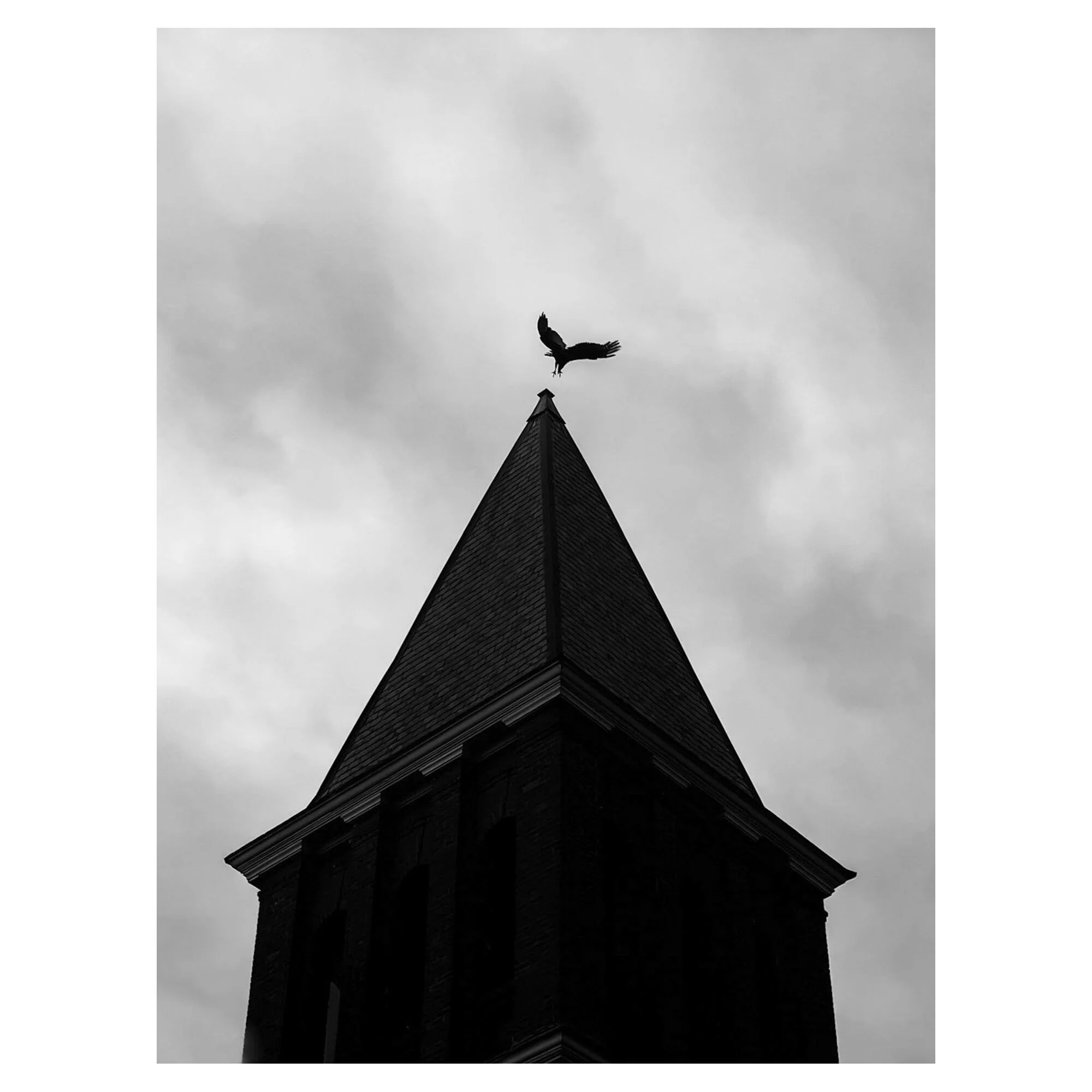 0038_Vulture Ulster Academy Belltower_1.jpg