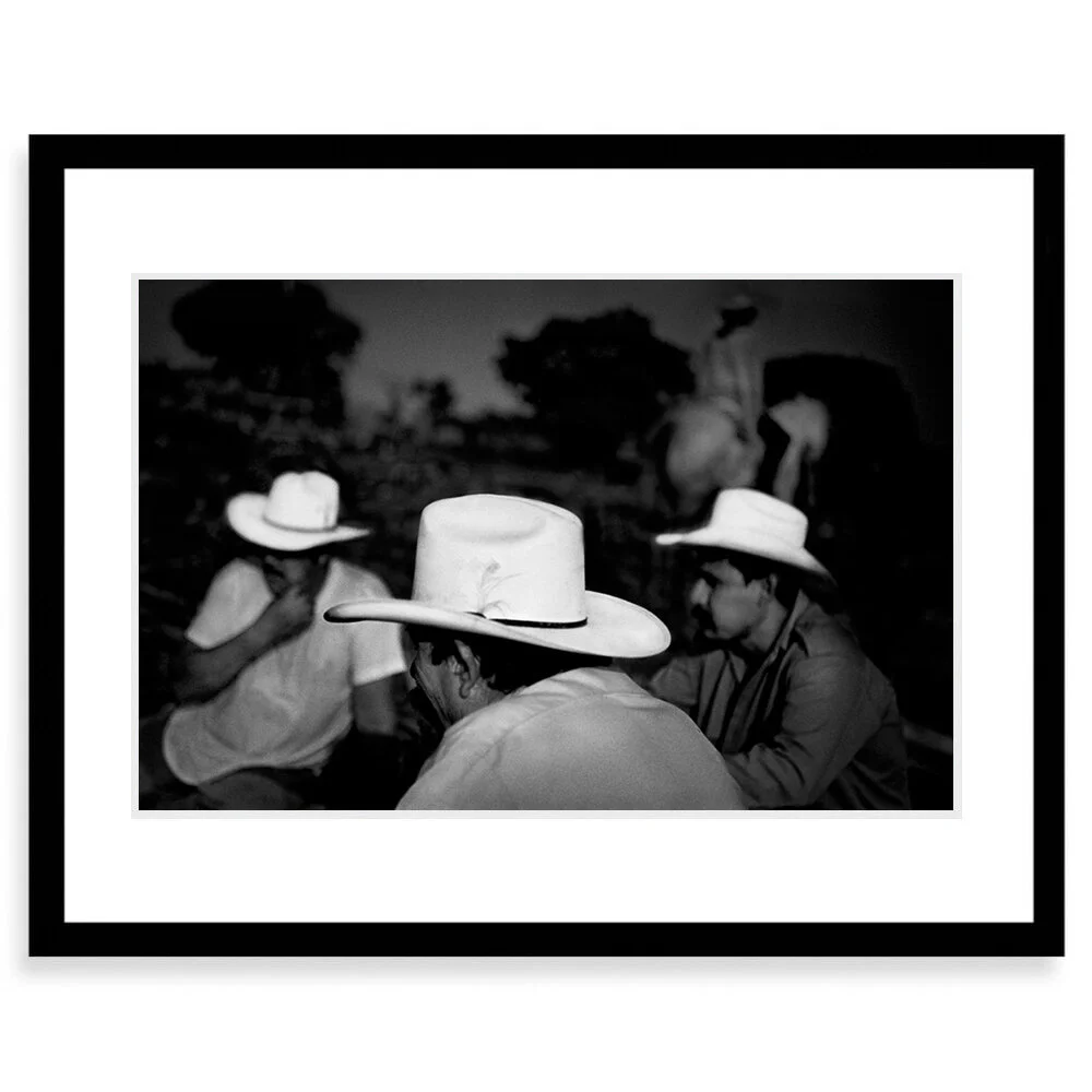 0008_HET_  008 copy.jpg